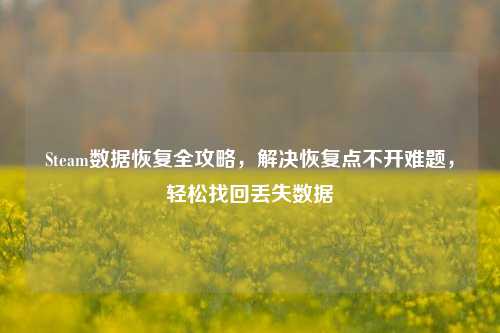 Steam数据恢复全攻略,解决恢复点不开难题,轻松找回丢失数据