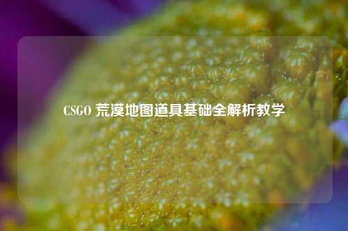 CSGO 荒漠地图道具基础全解析教学