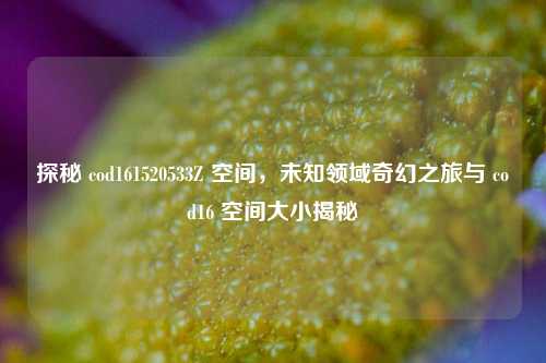 探秘 cod161520533Z 空间,未知领域奇幻之旅与 cod16 空间大小揭秘