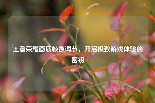 王者荣耀画质帧数调节，开启极致游戏体验的密钥