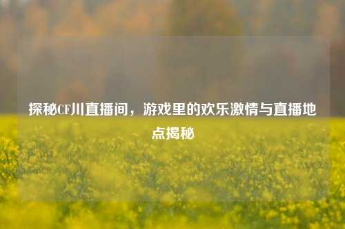 探秘CF川直播间，游戏里的欢乐激情与直播地点揭秘