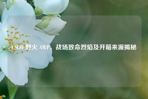 CSGO 野火 AWP,战场致命烈焰及开箱来源揭秘