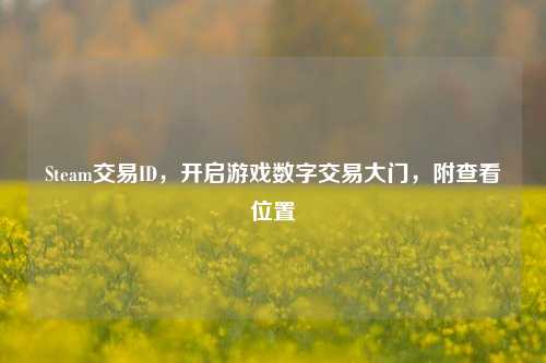 Steam交易ID,开启游戏数字交易大门,附查看位置
