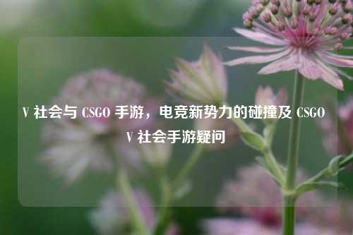 V 社会与 CSGO 手游,电竞新势力的碰撞及 CSGO V 社会手游疑问