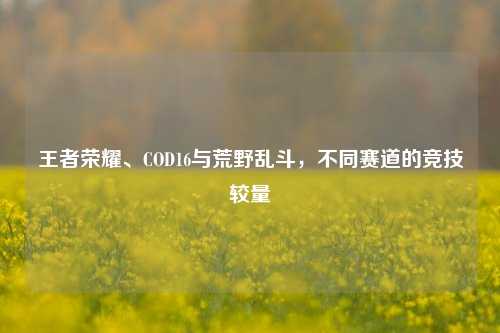 王者荣耀、COD16与荒野乱斗,不同赛道的竞技较量