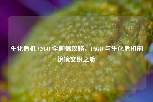 生化危机 CSGO 全剧情攻略，CSGO 与生化危机的绝境交织之旅