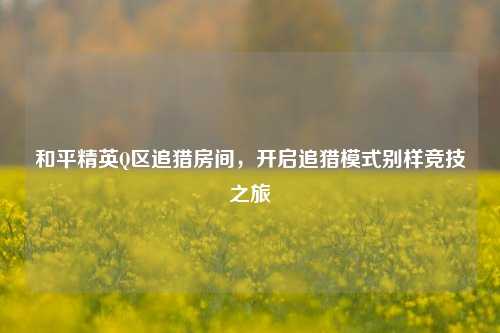和平精英Q区追猎房间,开启追猎模式别样竞技之旅