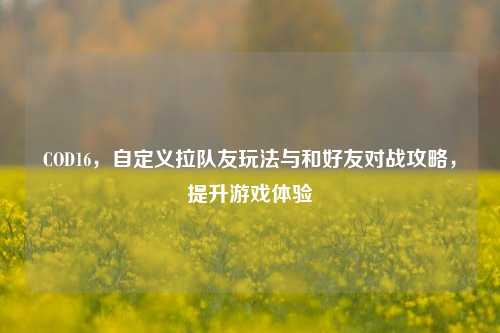 COD16,自定义拉队友玩法与和好友对战攻略,提升游戏体验