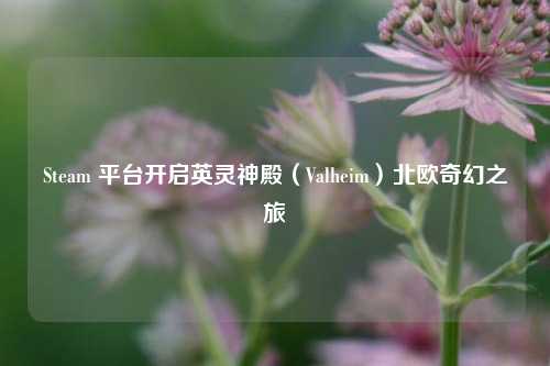 Steam 平台开启英灵神殿(Valheim)北欧奇幻之旅