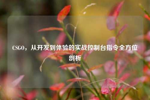 CSGO,从开发到体验的实战控制台指令全方位剖析
