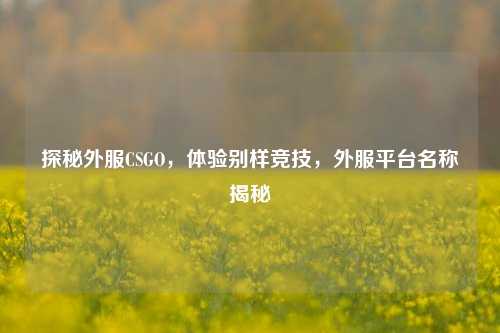 探秘外服CSGO,体验别样竞技,外服平台名称揭秘