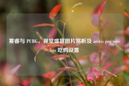 赛睿与 PUBG,视觉盛宴图片赏析及 arctis pro wireless 吃鸡设置