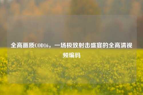 全高画质COD16,一场极致射击盛宴的全高清视频编码