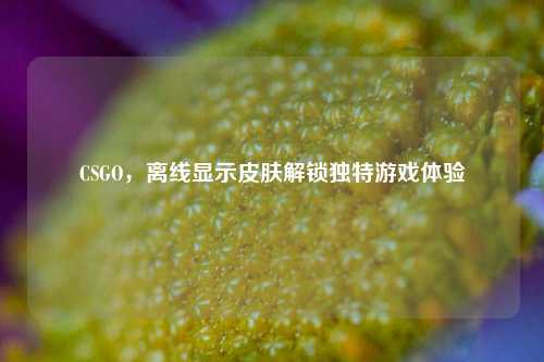 CSGO，离线显示皮肤解锁独特游戏体验