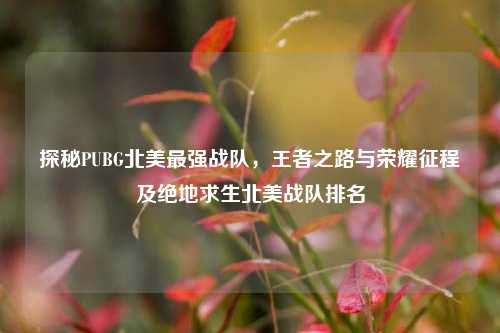 探秘PUBG北美最强战队,王者之路与荣耀征程及绝地求生北美战队排名