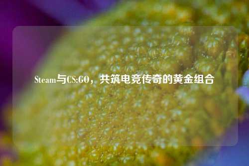 Steam与CS:GO,共筑电竞传奇的黄金组合