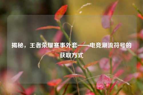 揭秘,王者荣耀赛事外套——电竞潮流符号的获取方式