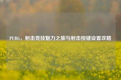 PUBG,射击竞技魅力之旅与射击按键设置攻略