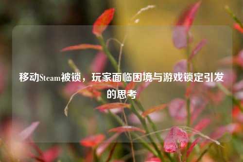 移动Steam被锁,玩家面临困境与游戏锁定引发的思考