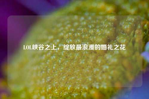 LOL峡谷之上,绽放最浪漫的婚礼之花