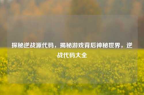 探秘逆战源代码，揭秘游戏背后神秘世界，逆战代码大全