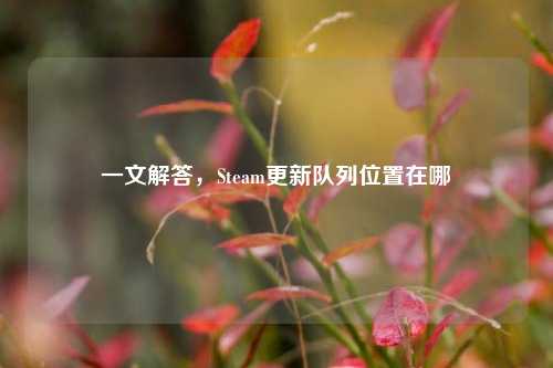 一文解答,Steam更新队列位置在哪