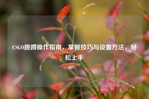 CSGO跳蹲操作指南,掌握技巧与设置方法,轻松上手
