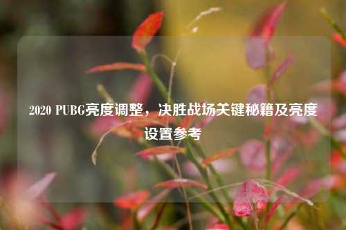 2020 PUBG亮度调整,决胜战场关键秘籍及亮度设置参考