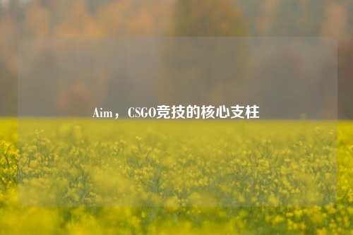 Aim,CSGO竞技的核心支柱