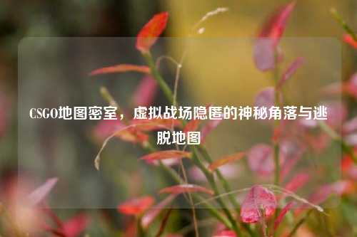 CSGO地图密室,虚拟战场隐匿的神秘角落与逃脱地图