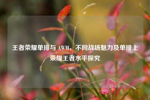 王者荣耀单排与 AWM，不同战场魅力及单排上荣耀王者水平探究