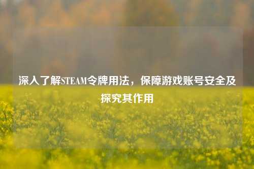 深入了解STEAM令牌用法,保障游戏账号安全及探究其作用