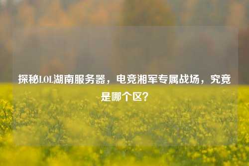 探秘LOL湖南服务器,电竞湘军专属战场,究竟是哪个区?