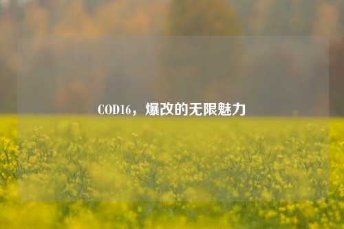 COD16,爆改的无限魅力
