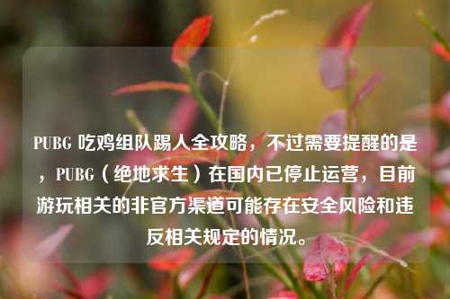 PUBG 吃鸡组队踢人全攻略,不过需要提醒的是,PUBG(绝地求生)在国内已停止运营,目前游玩相关的非官方渠道可能存在安全风险和违反相关规定的情况。