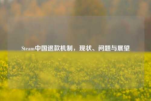Steam中国退款机制,现状、问题与展望