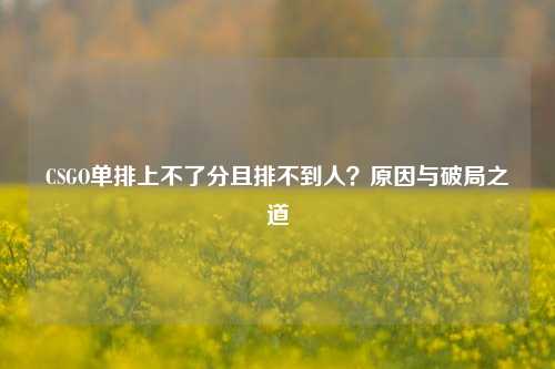 CSGO单排上不了分且排不到人?原因与破局之道
