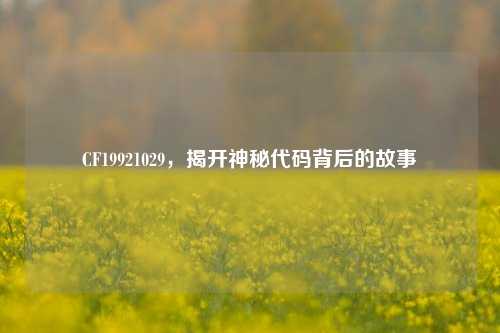 CF19921029,揭开神秘代码背后的故事
