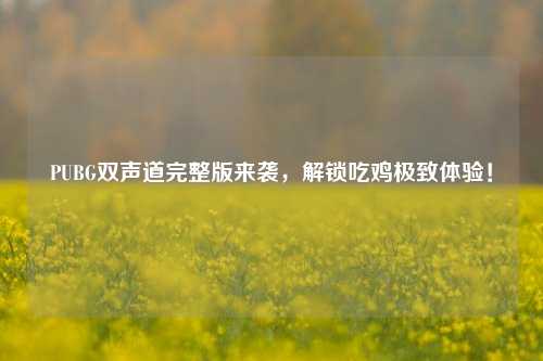 PUBG双声道完整版来袭,解锁吃鸡极致体验!
