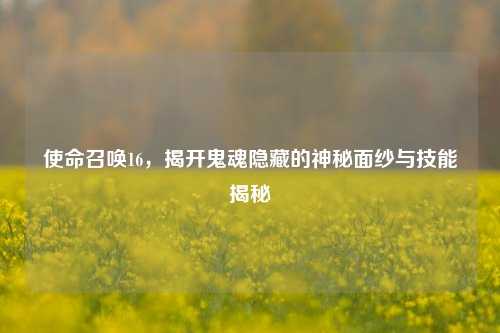 使命召唤16，揭开鬼魂隐藏的神秘面纱与技能揭秘