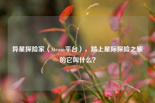 异星探险家(Steam平台),踏上星际探险之旅的它叫什么?