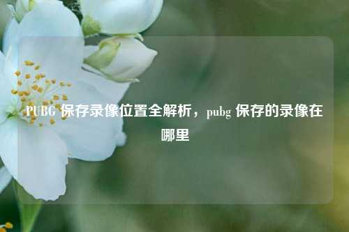 PUBG 保存录像位置全解析,pubg 保存的录像在哪里