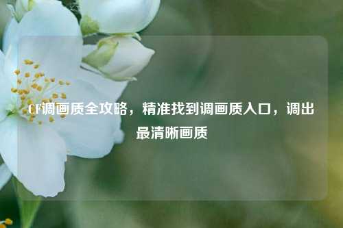 CF调画质全攻略,精准找到调画质入口,调出最清晰画质