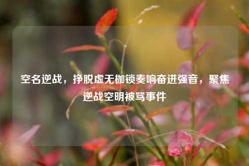 空名逆战,挣脱虚无枷锁奏响奋进强音,聚焦逆战空明被骂事件