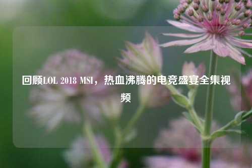 回顾LOL 2018 MSI,热血沸腾的电竞盛宴全集视频