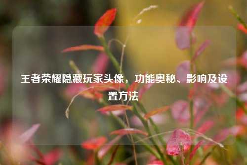 王者荣耀隐藏玩家头像，功能奥秘、影响及设置方法