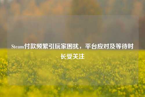 Steam付款频繁引玩家困扰，平台应对及等待时长受关注