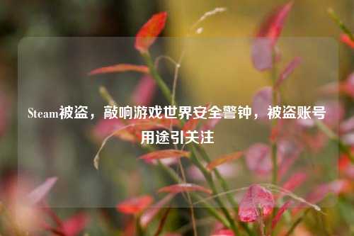 Steam被盗,敲响游戏世界安全警钟,被盗账号用途引关注