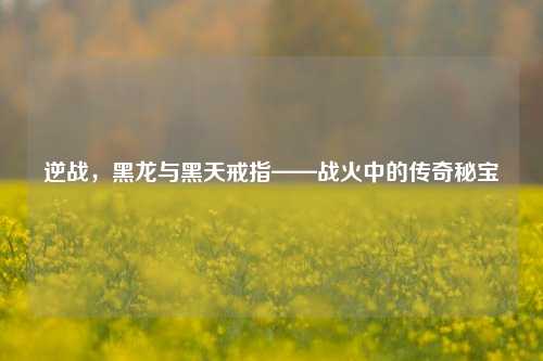 逆战,黑龙与黑天戒指——战火中的传奇秘宝