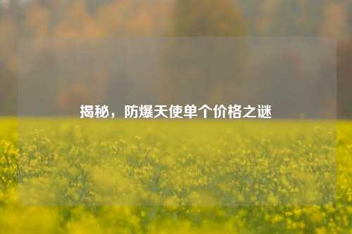 揭秘,防爆天使单个价格之谜